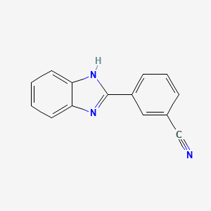 molecular formula C14H9N3 B2434840 3-(1H-Benzo[d]imidazol-2-yl)benzonitrile CAS No. 906816-19-1