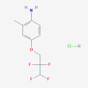 molecular formula C10H12ClF4NO B2435317 2-Methyl-4-(2,2,3,3-tetrafluoropropoxy)aniline hydrochloride CAS No. 1458615-91-2