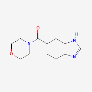 molecular formula C12H17N3O2 B2436133 morpholino(4,5,6,7-tetrahydro-1H-benzo[d]imidazol-5-yl)methanone CAS No. 2034583-57-6