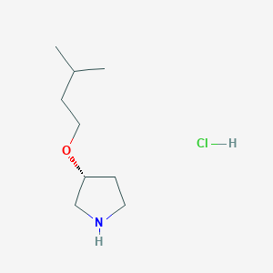 (3R)-3-(3-methylbutoxy)pyrrolidine hydrochloride