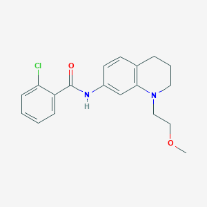 molecular formula C19H21ClN2O2 B2438035 2-氯-N-(1-(2-甲氧基乙基)-1,2,3,4-四氢喹啉-7-基)苯甲酰胺 CAS No. 1172512-45-6