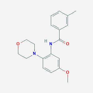 molecular formula C19H22N2O3 B243879 N-(5-methoxy-2-morpholin-4-ylphenyl)-3-methylbenzamide 