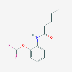 molecular formula C12H15F2NO2 B243894 N-[2-(difluoromethoxy)phenyl]pentanamide 