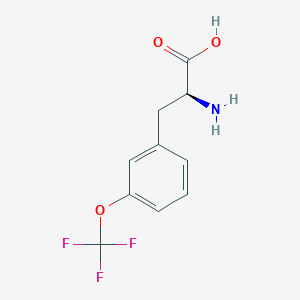 B2439407 3-(Trifluoromethoxy)-L-phenylalanine CAS No. 1241678-35-2; 131123-44-9; 439587-14-1