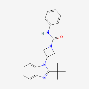 3-(2-tert-butyl-1H-1,3-benzodiazol-1-yl)-N-phenylazetidine-1-carboxamide