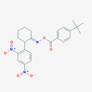 molecular formula C23H25N3O6 B2440246 [(1E)-2-(2,4-dinitrophenyl)cyclohexylidene]amino 4-tert-butylbenzoate CAS No. 383148-00-3