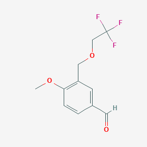 molecular formula C11H11F3O3 B2440265 4-Methoxy-3-[(2,2,2-trifluoroethoxy)methyl]benzaldehyde CAS No. 834913-89-2