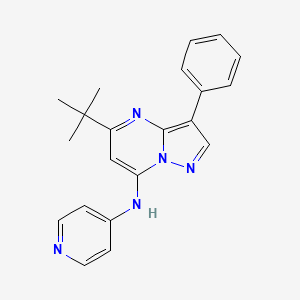 molecular formula C21H21N5 B2440326 5-叔丁基-3-苯基-N-吡啶-4-基吡唑并[1,5-a]嘧啶-7-胺 CAS No. 896804-04-9