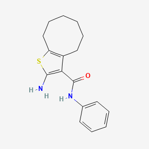 2-amino-N-phenyl-4,5,6,7,8,9-hexahydrocycloocta[b]thiophene-3-carboxamide