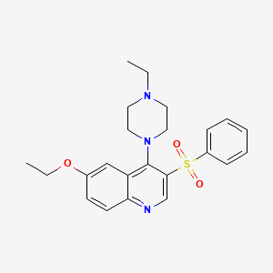 molecular formula C23H27N3O3S B2441308 3-(Benzenesulfonyl)-6-ethoxy-4-(4-ethylpiperazin-1-yl)quinoline CAS No. 866843-21-2