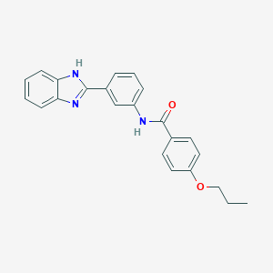 molecular formula C23H21N3O2 B244160 N-[3-(1H-benzimidazol-2-yl)phenyl]-4-propoxybenzamide 