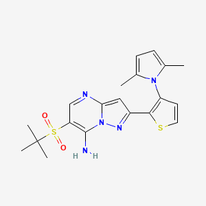 molecular formula C20H23N5O2S2 B2442450 6-(Tert-butylsulfonyl)-2-[3-(2,5-dimethyl-1H-pyrrol-1-YL)-2-thienyl]pyrazolo[1,5-A]pyrimidin-7-amine CAS No. 861212-81-9