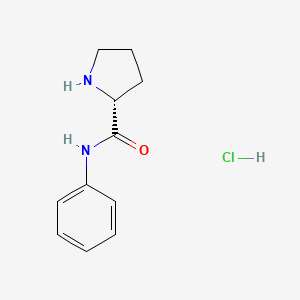 molecular formula C11H15ClN2O B2443132 (R)-N-Phenylpyrrolidine-2-carboxamide hydrochloride CAS No. 877597-96-1