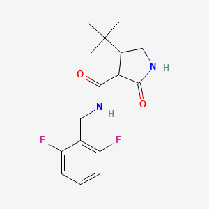 4-tert-butyl-N-[(2,6-difluorophenyl)methyl]-2-oxopyrrolidine-3-carboxamide