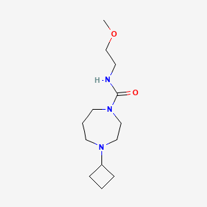 4-cyclobutyl-N-(2-methoxyethyl)-1,4-diazepane-1-carboxamide