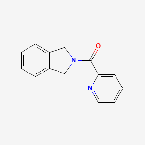 molecular formula C14H12N2O B2443482 Isoindolin-2-yl(pyridin-2-yl)méthanone CAS No. 1787582-31-3