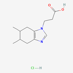 molecular formula C12H19ClN2O2 B2443560 3-(5,6-dimethyl-4,5,6,7-tetrahydro-1H-1,3-benzodiazol-1-yl)propanoic acid hydrochloride CAS No. 2319717-12-7