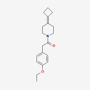1-(4-Cyclobutylidenepiperidin-1-yl)-2-(4-ethoxyphenyl)ethanone