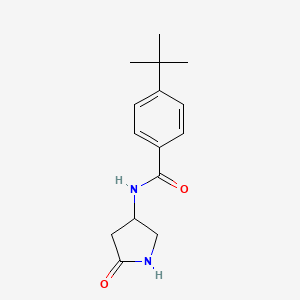 molecular formula C15H20N2O2 B2444132 4-(叔丁基)-N-(5-氧代吡咯烷-3-基)苯甲酰胺 CAS No. 1351611-27-2