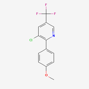 molecular formula C13H9ClF3NO B2444181 4-[3-Chloro-5-(trifluoromethyl)-2-pyridinyl]phenyl methyl ether CAS No. 161949-55-9