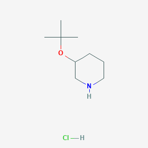 molecular formula C9H20ClNO B2444262 3-(tert-Butoxy)piperidine hydrochloride CAS No. 2225136-03-6