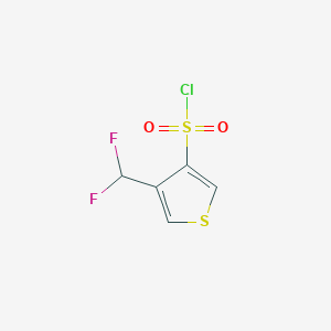 molecular formula C5H3ClF2O2S2 B2444513 4-(Difluoromethyl)thiophene-3-sulfonyl chloride CAS No. 2138156-62-2