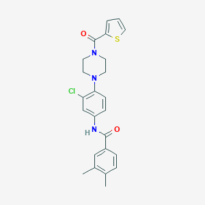 molecular formula C24H24ClN3O2S B244455 N-{3-chloro-4-[4-(2-thienylcarbonyl)-1-piperazinyl]phenyl}-3,4-dimethylbenzamide 