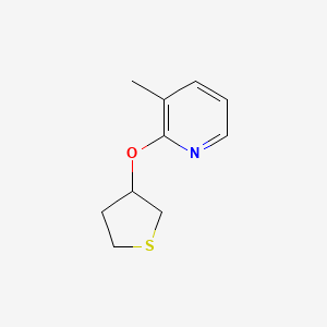 3-Methyl-2-(thiolan-3-yloxy)pyridine
