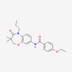 molecular formula C23H28N2O4 B2445623 N-(3,3-dimethyl-4-oxo-5-propyl-2,3,4,5-tetrahydrobenzo[b][1,4]oxazepin-8-yl)-4-ethoxybenzamide CAS No. 921567-15-9