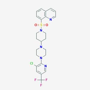 molecular formula C24H25ClF3N5O2S B2445838 8-[(4-{4-[3-Chloro-5-(trifluoromethyl)pyridin-2-yl]piperazin-1-yl}piperidin-1-yl)sulfonyl]quinoline CAS No. 2097938-12-8