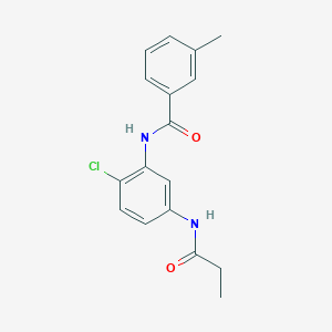 molecular formula C17H17ClN2O2 B244630 N-[2-chloro-5-(propanoylamino)phenyl]-3-methylbenzamide 
