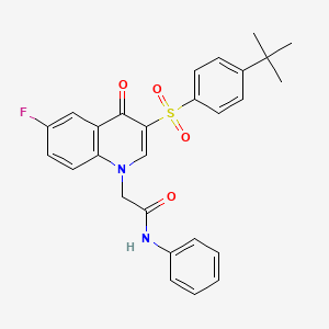 molecular formula C27H25FN2O4S B2446397 2-[3-(4-tert-butylphenyl)sulfonyl-6-fluoro-4-oxoquinolin-1-yl]-N-phenylacetamide CAS No. 866843-71-2