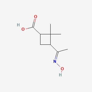 molecular formula C9H15NO3 B2446612 3-[1-(Hydroxyimino)ethyl]-2,2-dimethylcyclobutane-1-carboxylic acid CAS No. 1379427-51-6