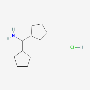 molecular formula C11H22ClN B2446968 二环戊基甲胺盐酸盐 CAS No. 2126161-64-4