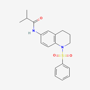 molecular formula C19H22N2O3S B2447118 N-(1-(phenylsulfonyl)-1,2,3,4-tetrahydroquinolin-6-yl)isobutyramide CAS No. 942006-45-3