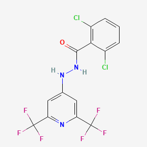 molecular formula C14H7Cl2F6N3O B2447494 N'-[2,6-bis(trifluoromethyl)pyridin-4-yl]-2,6-dichlorobenzohydrazide CAS No. 240115-92-8