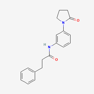 N-(3-(2-oxopyrrolidin-1-yl)phenyl)-3-phenylpropanamide