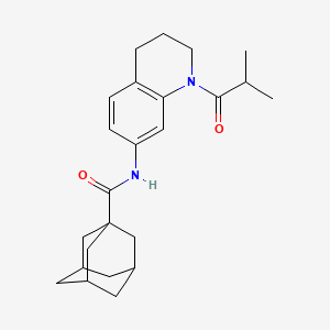 molecular formula C24H32N2O2 B2448198 N-(1-isobutyryl-1,2,3,4-tetrahydroquinolin-7-yl)adamantane-1-carboxamide CAS No. 1005301-83-6