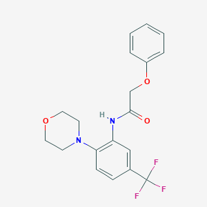 molecular formula C19H19F3N2O3 B244849 N-[2-morpholin-4-yl-5-(trifluoromethyl)phenyl]-2-phenoxyacetamide 