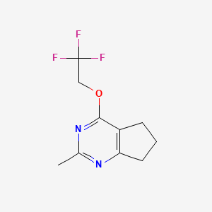 molecular formula C10H11F3N2O B2448513 2-methyl-4-(2,2,2-trifluoroethoxy)-5H,6H,7H-cyclopenta[d]pyrimidine CAS No. 2202046-16-8