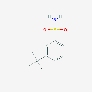 molecular formula C10H15NO2S B2448745 3-叔丁基苯磺酰胺 CAS No. 1187437-00-8