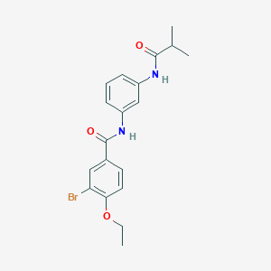 molecular formula C19H21BrN2O3 B244940 3-bromo-4-ethoxy-N-[3-(isobutyrylamino)phenyl]benzamide 