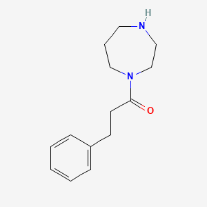 1-(1,4-Diazepan-1-yl)-3-phenylpropan-1-one