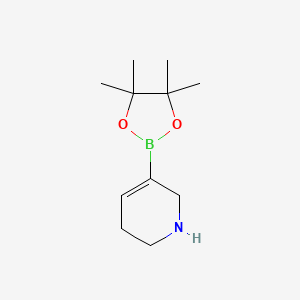 molecular formula C11H20BNO2 B2449741 5-(4,4,5,5-Tetramethyl-1,3,2-dioxaborolan-2-yl)-1,2,3,6-tetrahydropyridine CAS No. 1823117-23-2