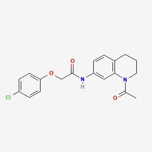 molecular formula C19H19ClN2O3 B2450133 N-(1-acetyl-3,4-dihydro-2H-quinolin-7-yl)-2-(4-chlorophenoxy)acetamide CAS No. 898423-59-1