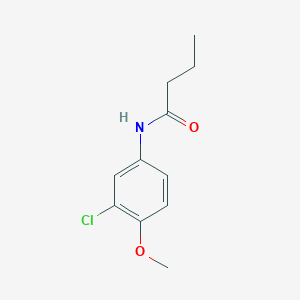 molecular formula C11H14ClNO2 B245080 N-(3-chloro-4-methoxyphenyl)butanamide 