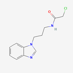 molecular formula C12H14ClN3O B2451062 N-[3-(benzimidazol-1-yl)propyl]-2-chloroacetamide CAS No. 1307084-93-0