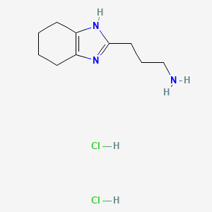 molecular formula C10H19Cl2N3 B2451361 3-(4,5,6,7-tetrahydro-1H-1,3-benzodiazol-2-yl)propan-1-amine dihydrochloride CAS No. 92741-96-3