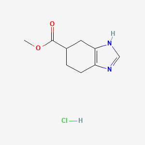 molecular formula C9H13ClN2O2 B2451699 methyl 4,5,6,7-tetrahydro-1H-1,3-benzodiazole-5-carboxylate hydrochloride CAS No. 1426827-13-5
