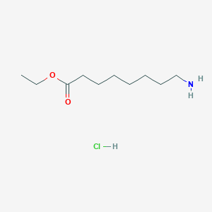 molecular formula C10H22ClNO2 B2451796 Ethyl 8-aminooctanoate hydrochloride CAS No. 29833-31-6